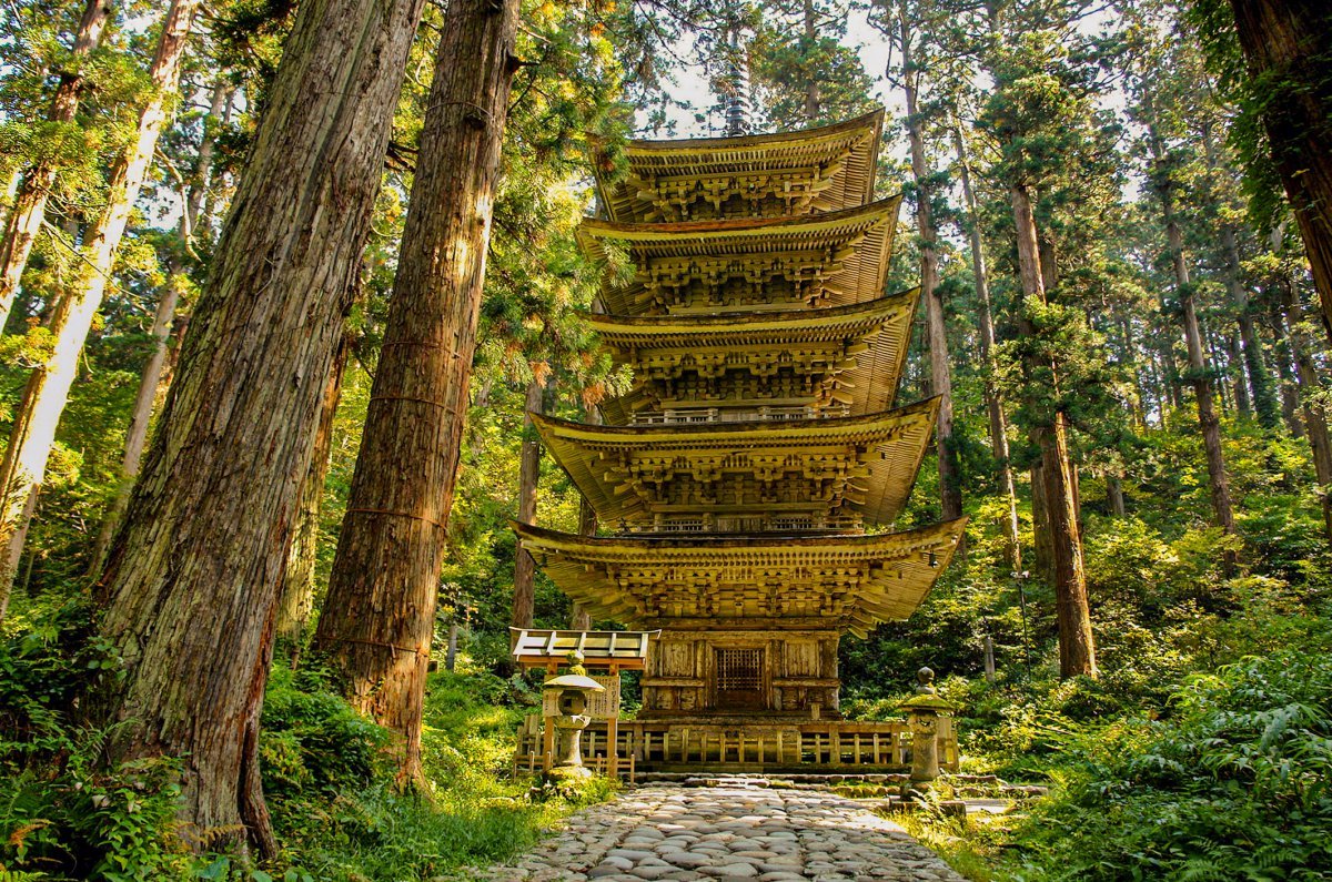 Amazing Yamagata