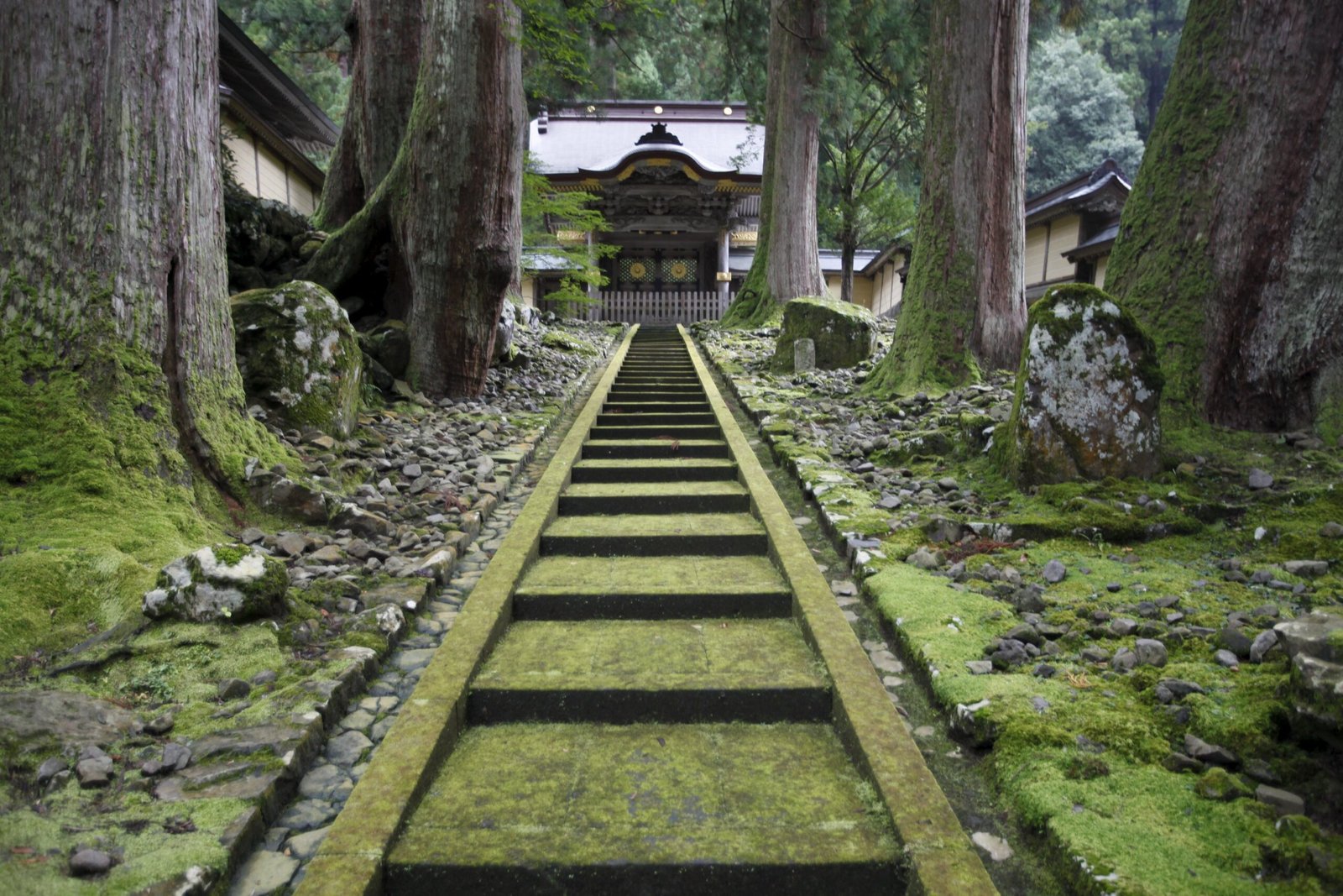 Amazing Yamagata