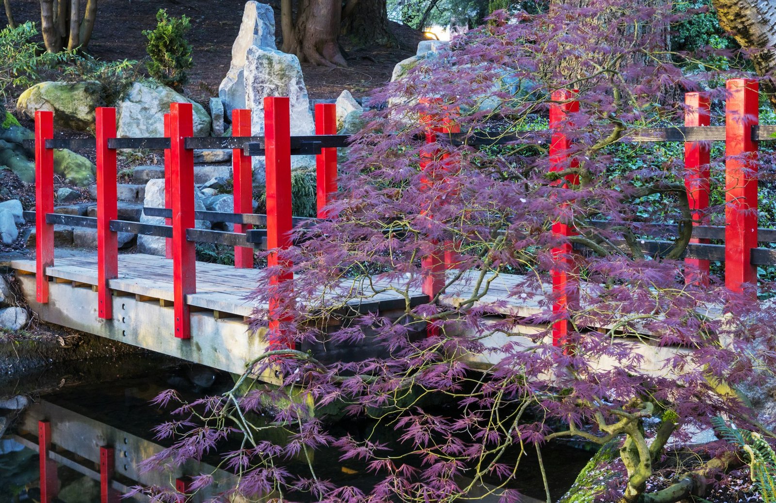Japanese garden