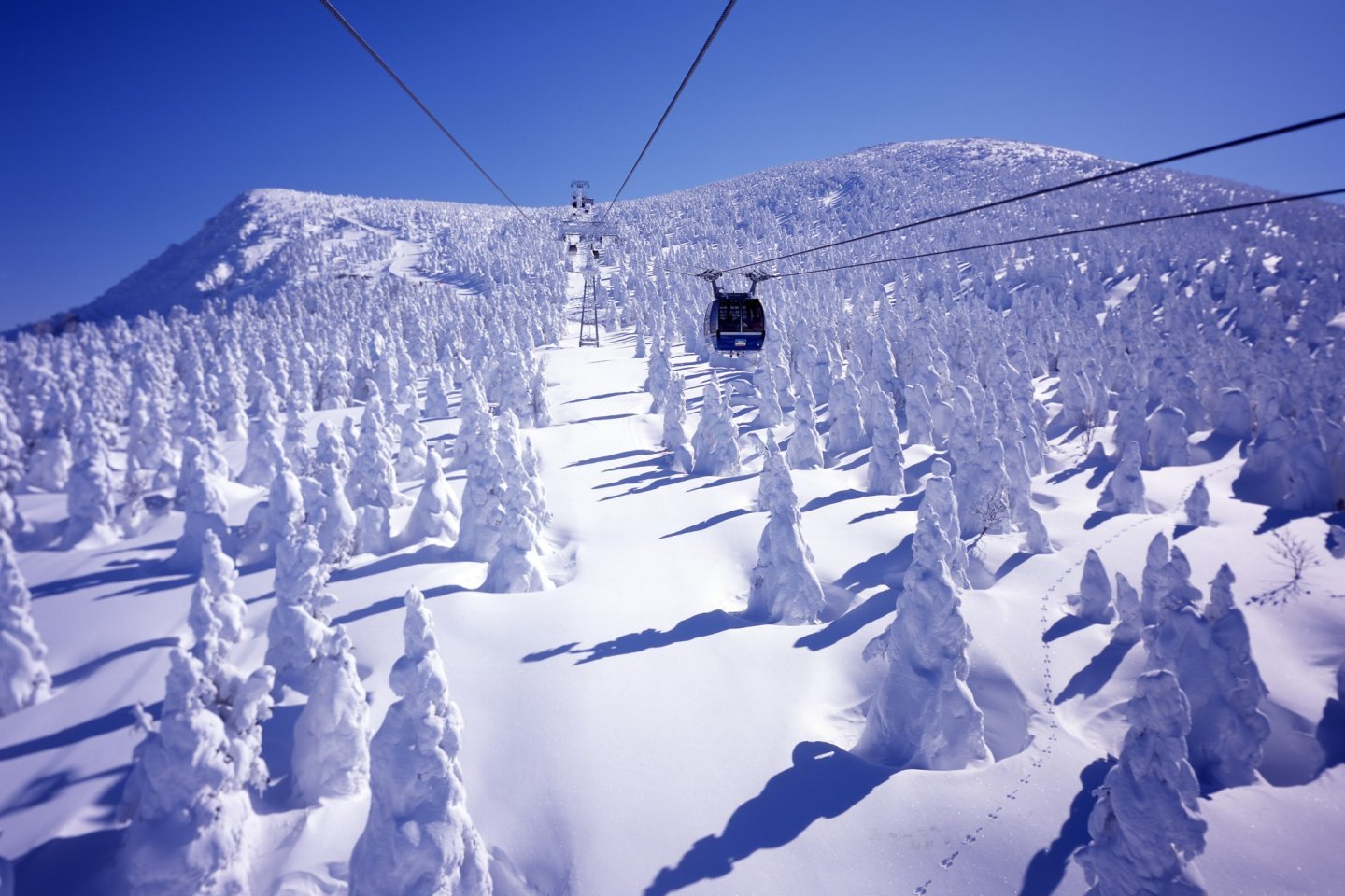 Amazing Yamagata