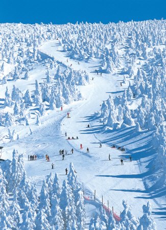 Amazing Yamagata