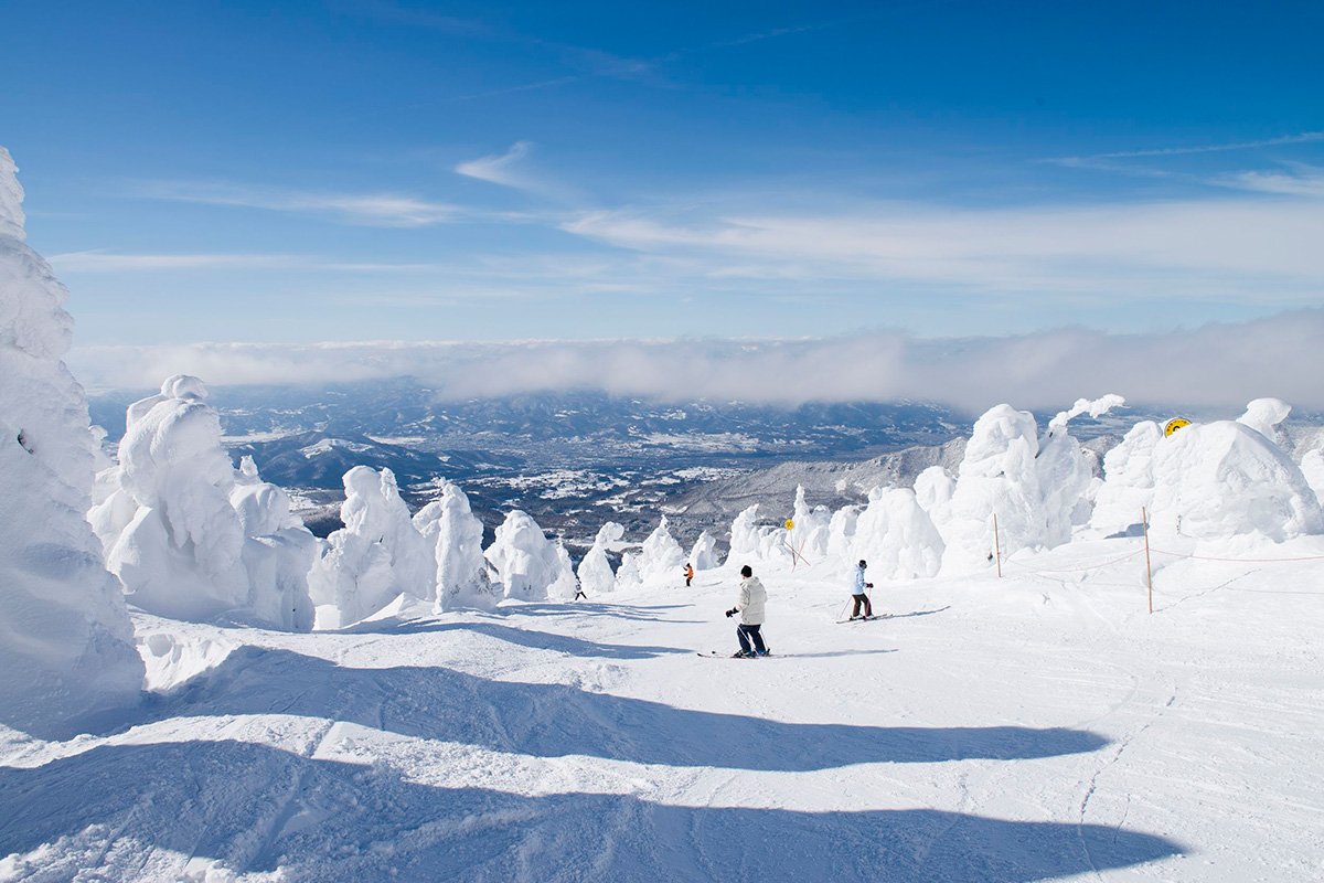 Amazing Yamagata