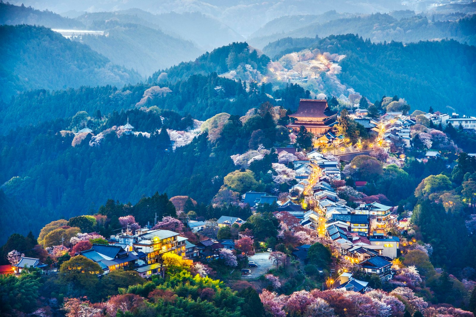 Amazing Yamagata