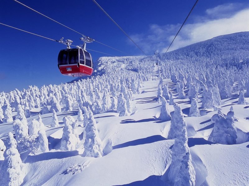 Amazing Yamagata