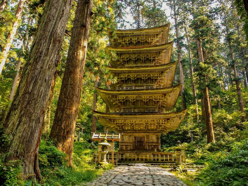 Amazing Yamagata