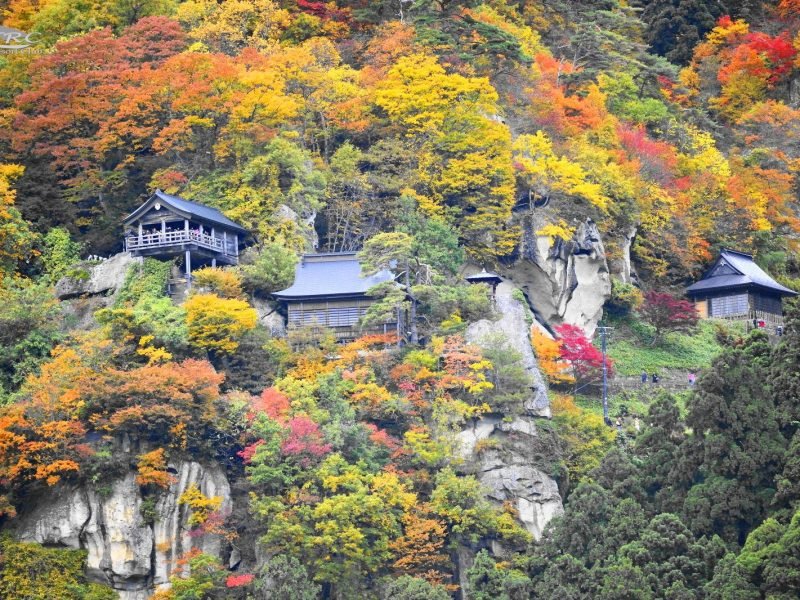 Amazing Yamagata