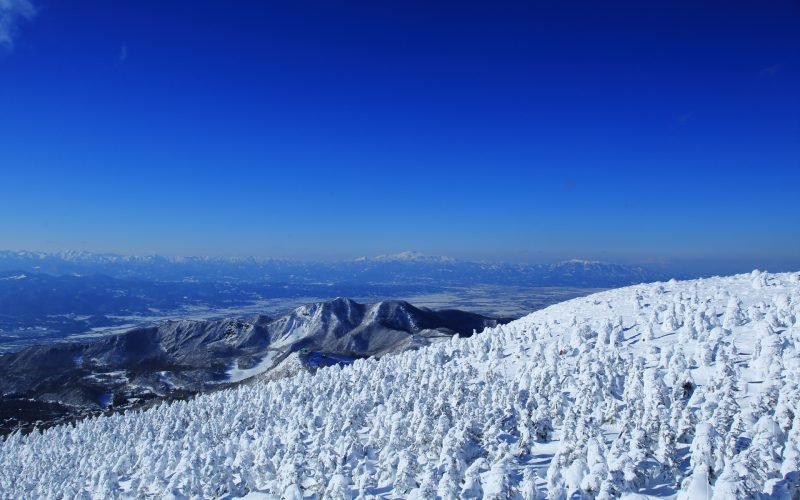 Amazing Yamagata