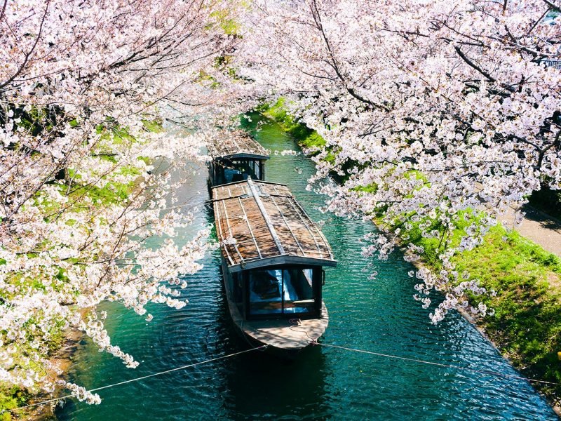 Amazing Yamagata4