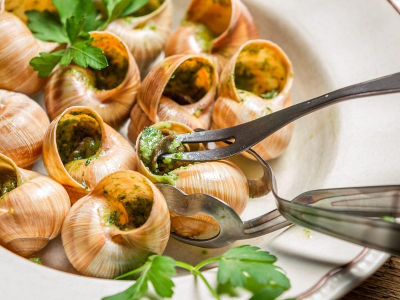 Closeup of eating the fried snails with garlic butter
