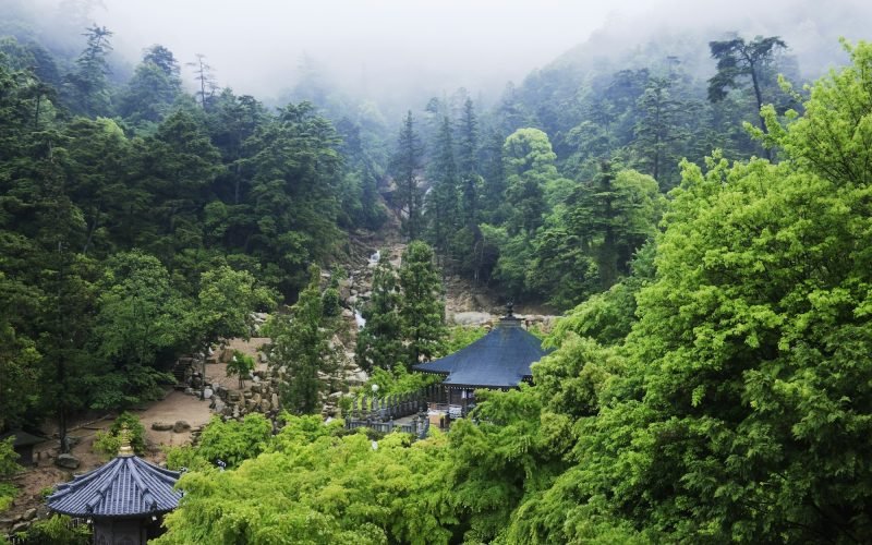 Amazing Yamagata