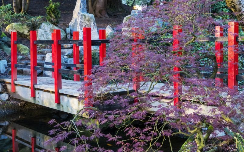 Japanese garden