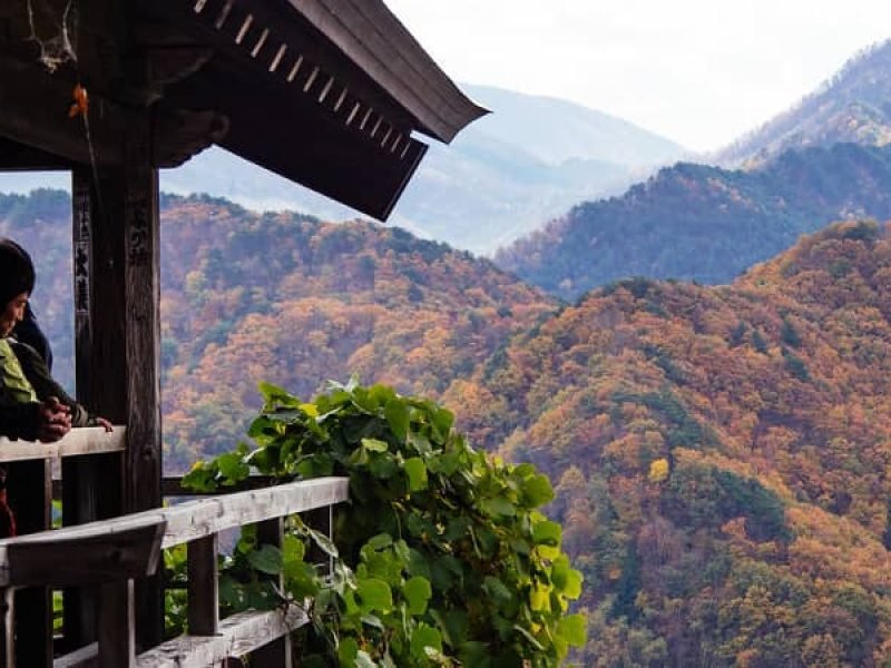 Amazing Yamagata