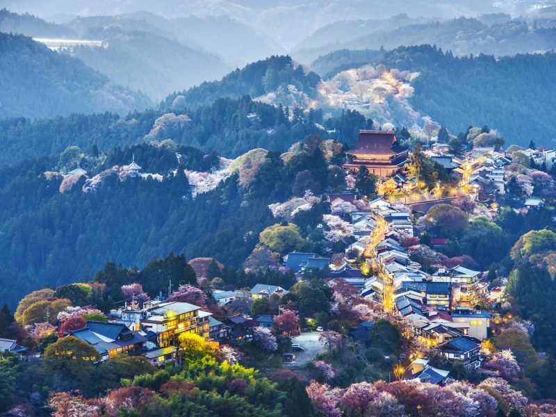 Amazing Yamagata